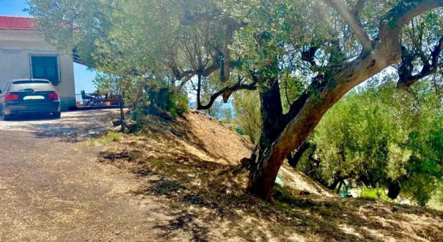 Коттедж Villa Lo Scoglio