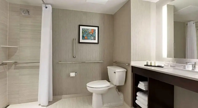 Двухместный люкс для гостей с ограниченными возможностями Executive Embassy Suites by Hilton Chicago Lombard