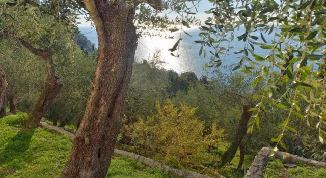 La Seta e il Mare Appartamento in Villa