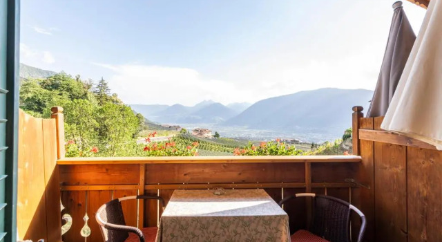 Номер Standard Hotel Moserhof