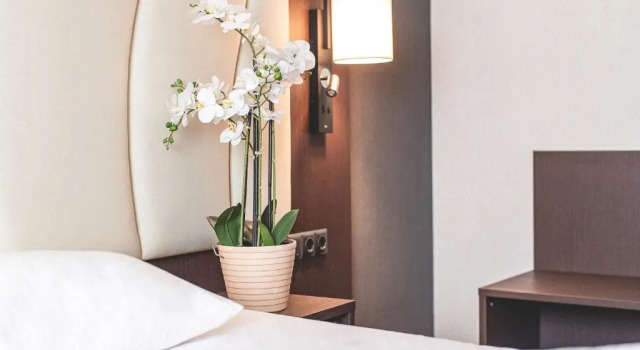 Двухместный номер Standard PLAZA Hotel Hanau