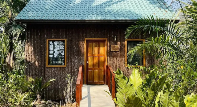 Номер Premium Mariposa Jungle Lodge