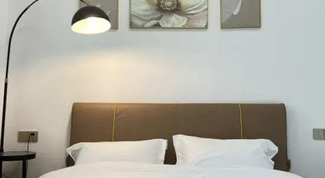 Люкс Haikou Yuehaiju Homestay