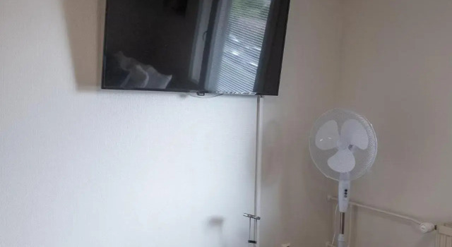 Araucarias apartament