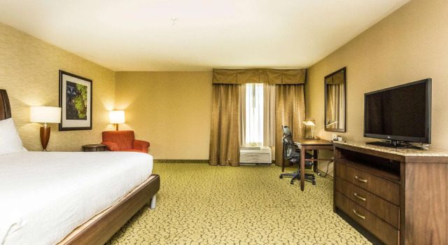 Двухместный номер Standard Hilton Garden Inn St. George