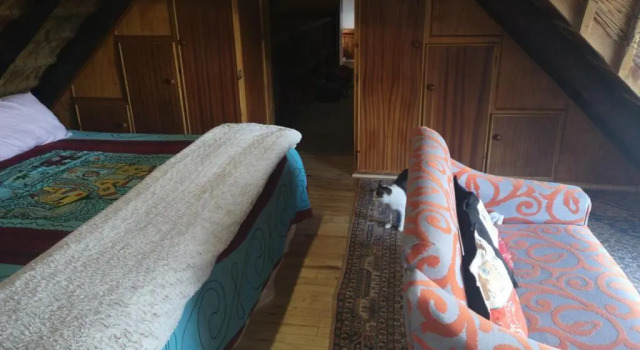 Chilli Moon B&B, Prenota Bed & breakfast Still Bay Riversdal