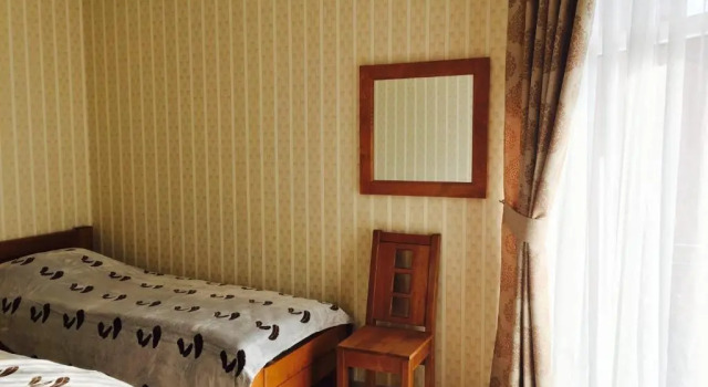 Двухместный номер Standard с видом на горы Mini hotel Solnce Karpat