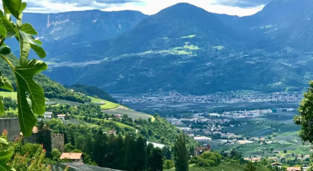 Номер Economy Pension Chalet Andy