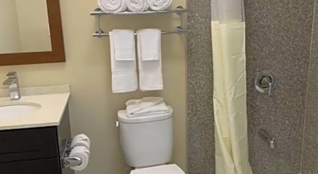 Люкс Deluxe Astoria Delancy Inn and Suites