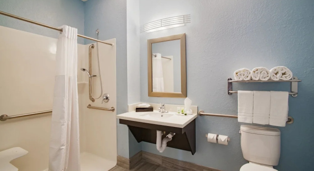 Одноместный номер Standard Iris Garden Inn