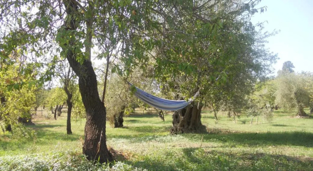Коттедж Terra Di Eloro