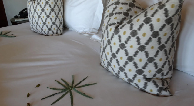 Rhulani Safari Lodge, 예약 호텔 Madikwe Game Reserve North West