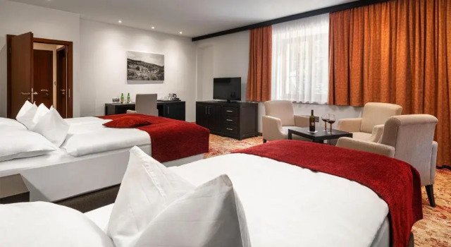 Номер Economy Hotel Singer