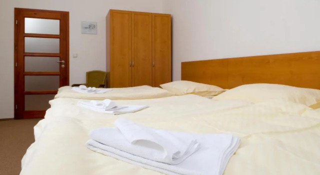 Номер Standard Městský Hotel Dorinka