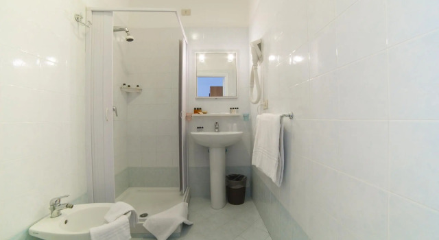 Одноместный номер Standard Hotel Angelina