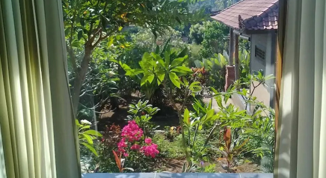 Двухместное бунгало Deluxe с балконом Eliska Sari Bungalows Sumberkima