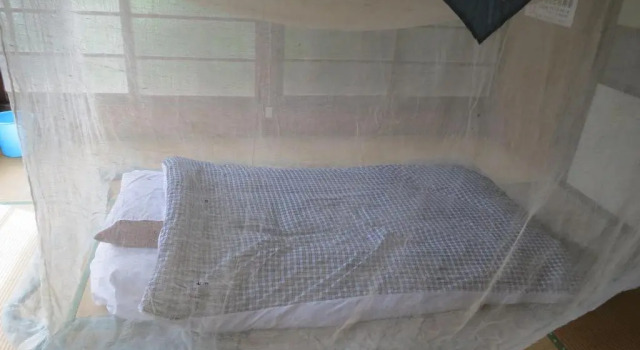 Кровать в общем номере Guesthouse Nishiki