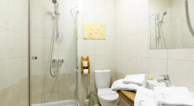 Двухместный номер Standard Stara Pravda Hotel - History