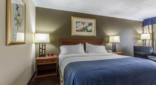 Номер Standard Clarion Inn Morgan City