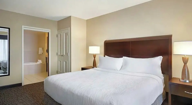 Двухместный люкс Deluxe c 1 комнатой Hilton Garden Inn Atlanta Downtown