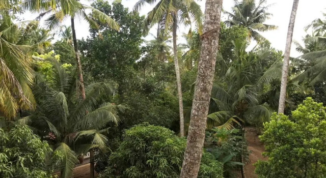 Номер Standard O2 Villas-Weligama