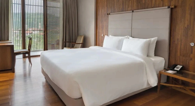 Одноместный люкс c 1 комнатой Radisson Resort and Spa Lonavala