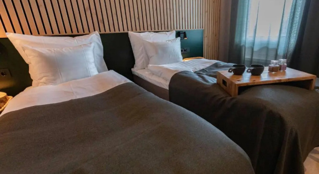 Двухместный номер Standard Haltia Lake Lodge nature boutique hotel & glamping