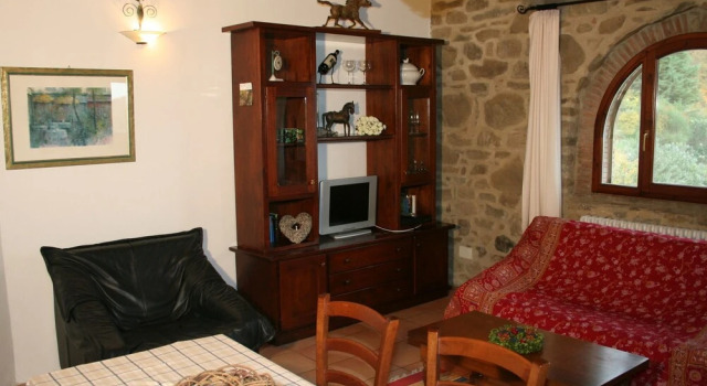 Cosy apartment in the well known Chianti area, with swimming pool and terrace.