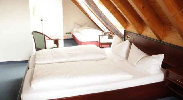 Трёхместный номер Standard Hotel Waldhorn