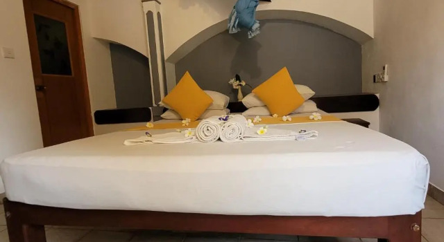 Номер Economy Janus Paradise Rest