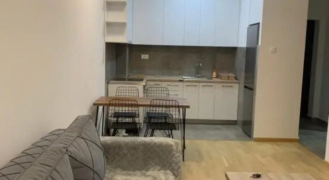 Apartment 45m2 Podgorica