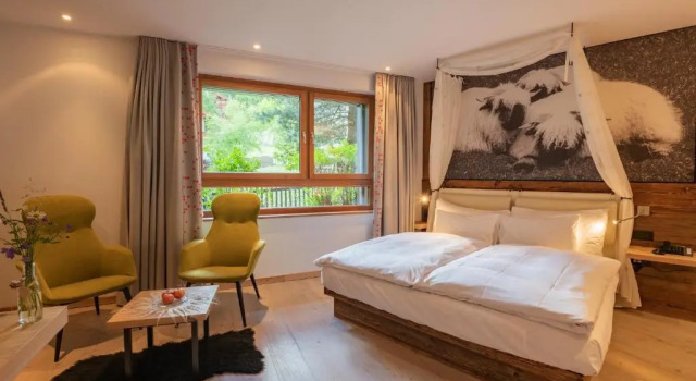 Двухместный номер Classic Europe Hotel & Spa