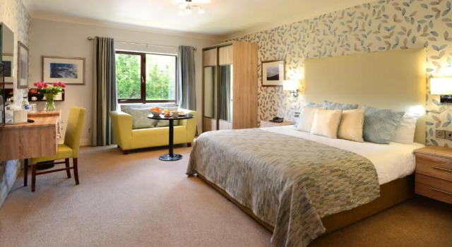 Двухместный номер Executive Mill Park Hotel