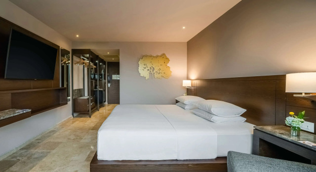 Двухместный Club Access номер Hyatt Regency Villahermosa