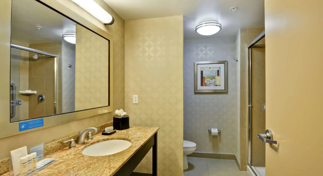 Четырёхместный номер Standard Hampton Inn & Suites Tampa Northwest/Oldsmar