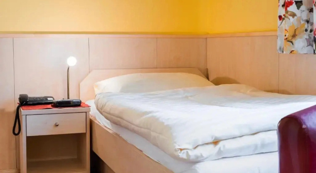 Одноместный номер Standard Hotel garni Steinfeld