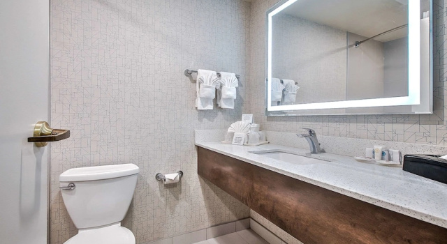 Люкс c 1 комнатой Comfort Inn & Suites Calgary South