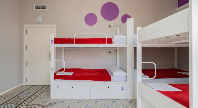 Кровать в общем номере (женский номер) Purple Nest Hostel