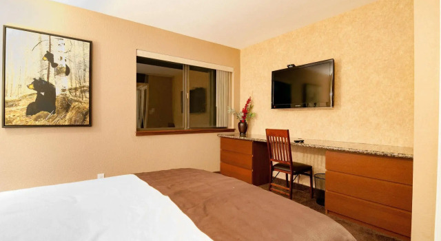 Tahoe Chaparral