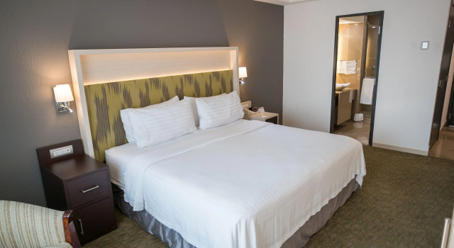 Holiday Inn Queretaro Zona Diamante by IHG