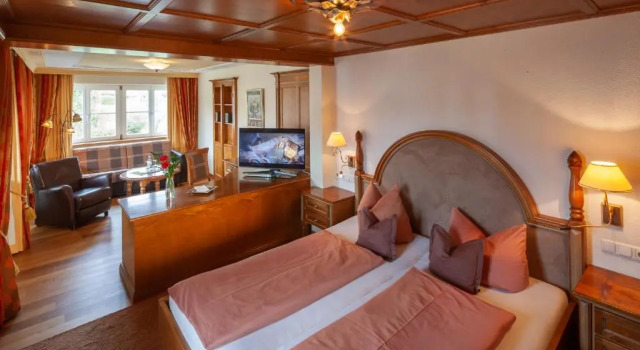 Студия Hotel Alpenkönig