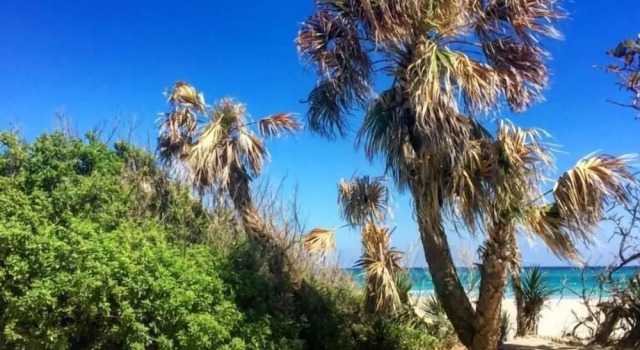 Коттедж Bimini Breeze Vacation Home