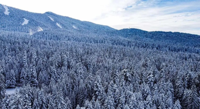 Студия MAGRI Luxurious Apartment A42 Borovets Gardens