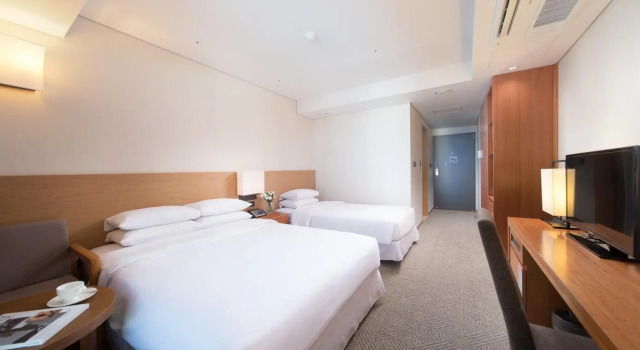 Двухместный номер Deluxe Bareve Hotel