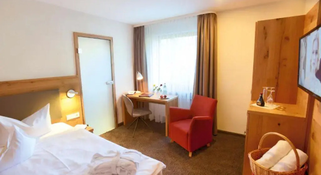 Одноместный номер Standard Hotel Grüner Wald