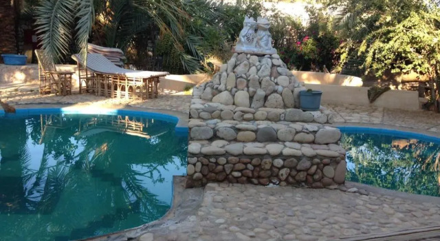 Номер Standard Dream Lodge Siwa دريم لودج سيوة