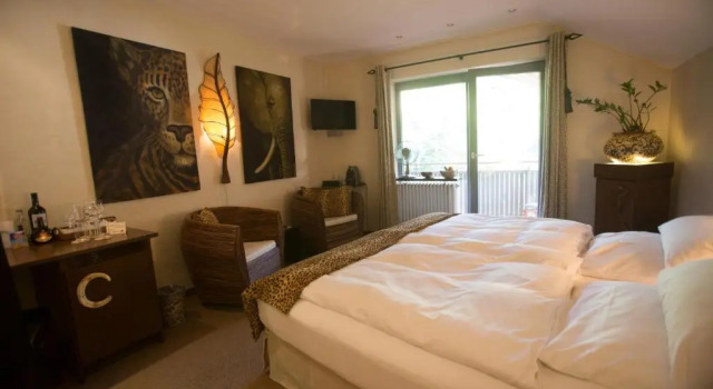 Номер Standard Hotel Heiligenstein