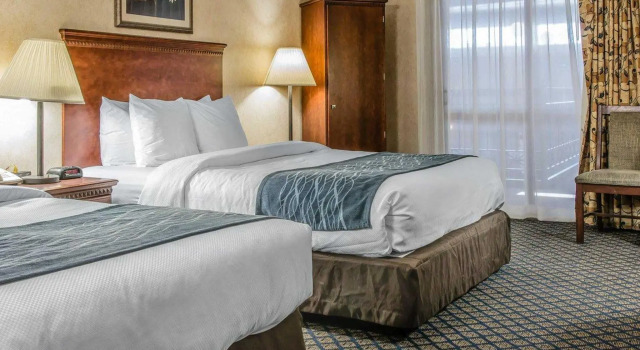 Standard Vierer Zimmer Quality Lodge