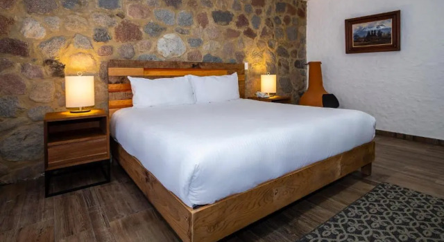 Номер Superior Hotel Boutique Camino Del Bosque