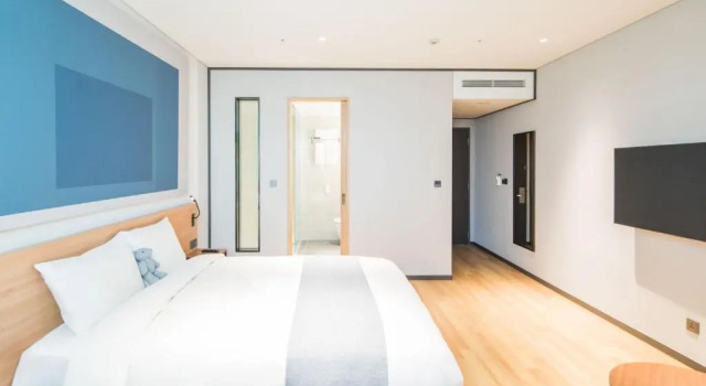 Двухместный полулюкс Ibis Ambassador Suwon